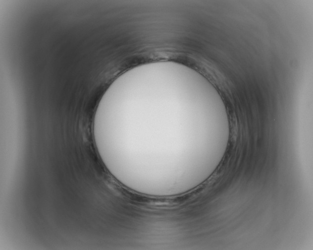 X0000112950414200908241031