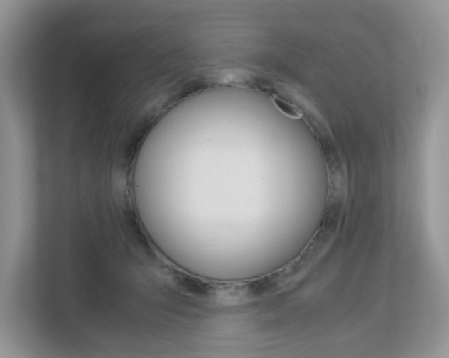 X0000112950415200908241031