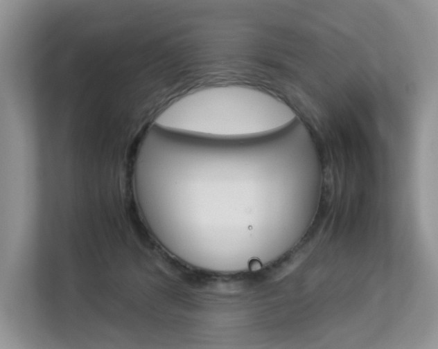 X0000112950416200908241031