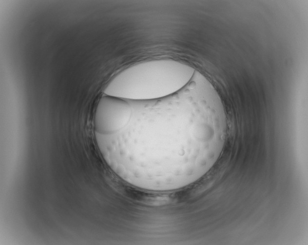 X0000112950418200908241031