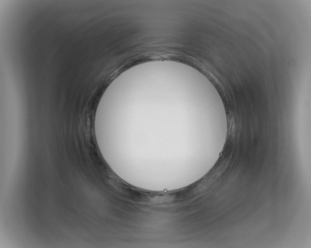 X0000112950426200908241031