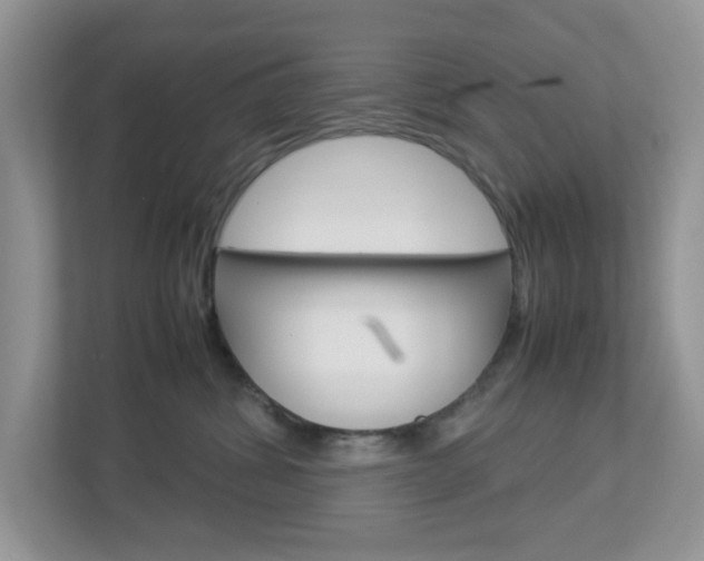 X0000112950428200908241031