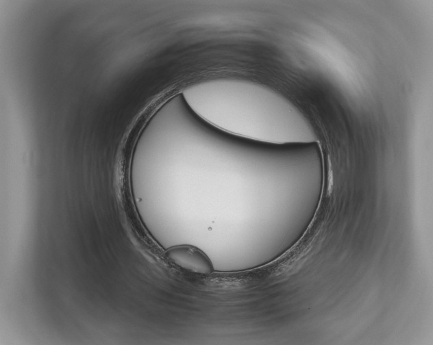 X0000112950435200908241030