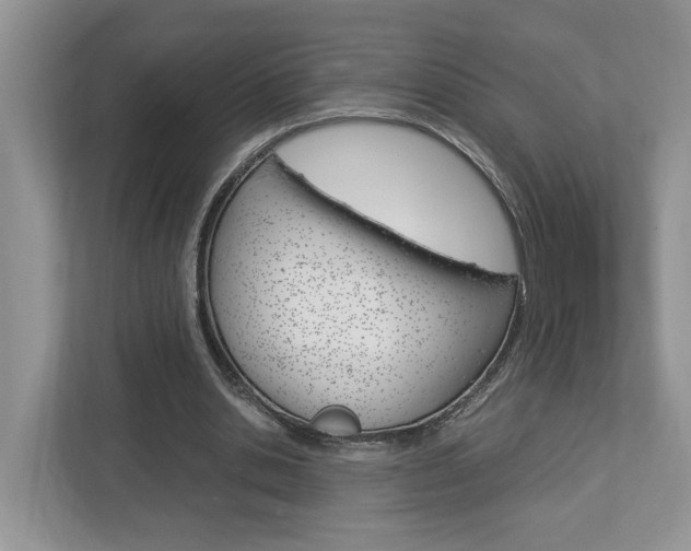 X0000112950438200908241030