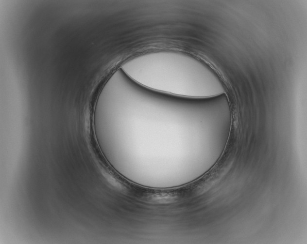 X0000112950445200908241030