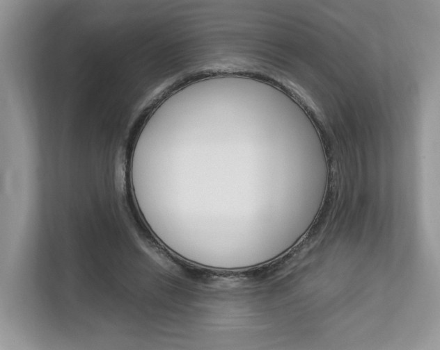 X0000112950446200908241030