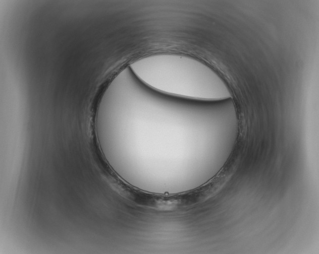 X0000112950450200908241030