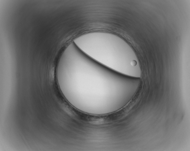 X0000112950454200908241030