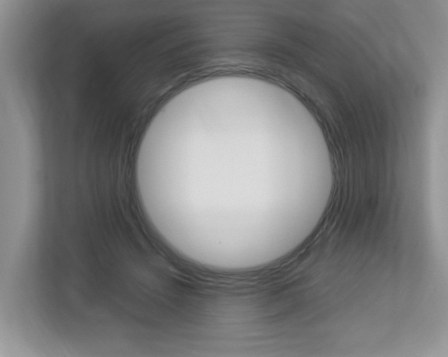 X0000112950456200908241030