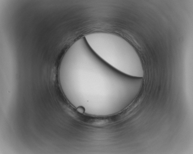 X0000112950458200908241030