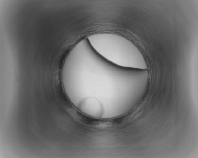 X0000112950462200908241030