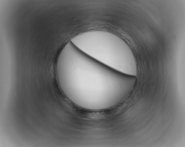 X0000112950465200908241030