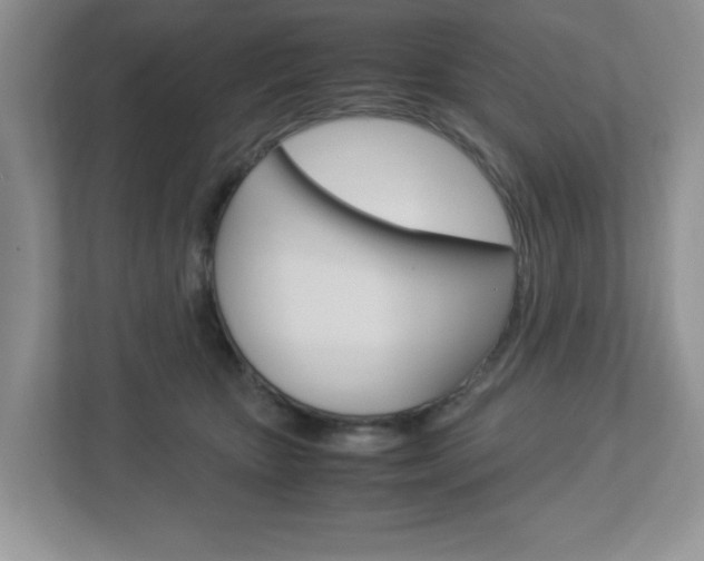 X0000112950467200908241030