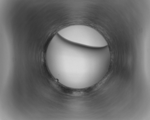 X0000112950470200908241031