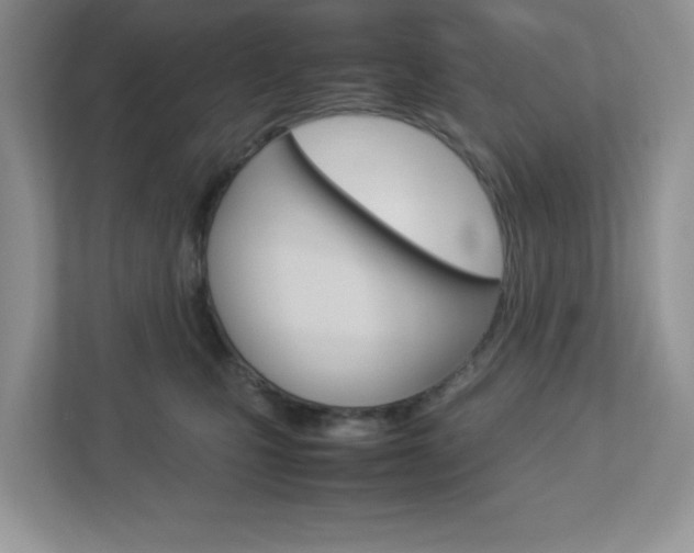 X0000112950471200908241031