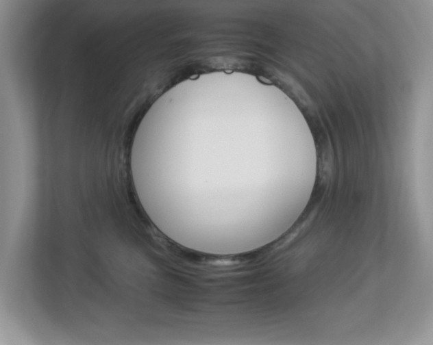 X0000112950473200908241031