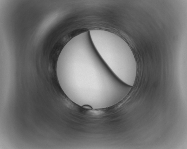 X0000112950477200908241031
