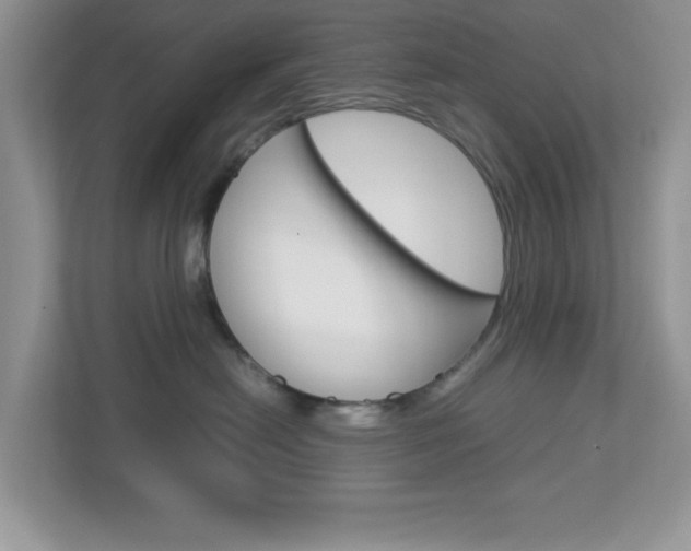 X0000112950478200908241031