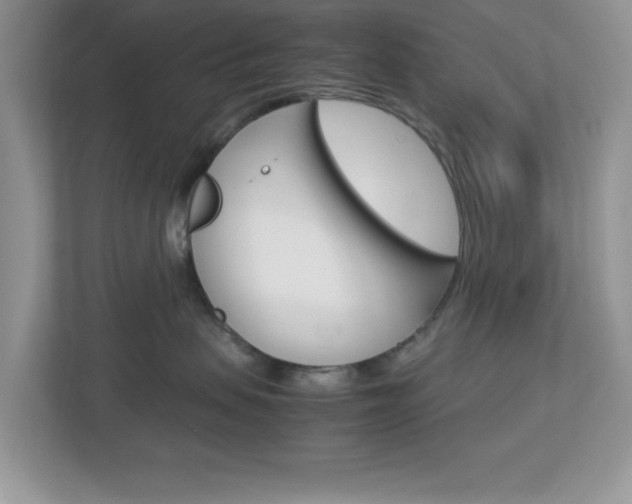 X0000112950479200908241031