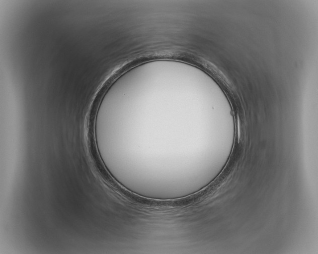 X0000112950483200908241030