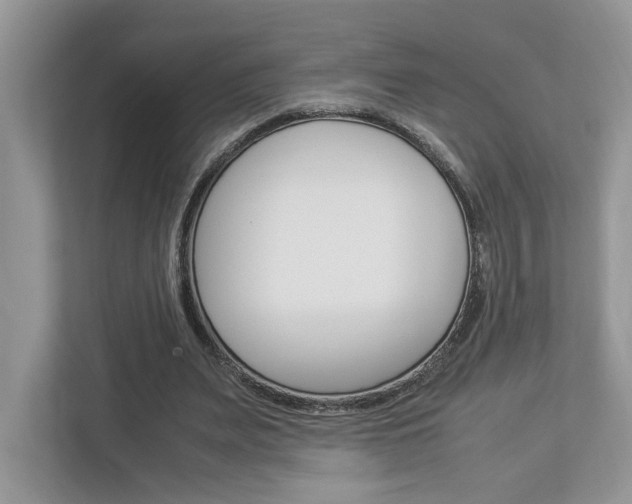 X0000112950487200908241030
