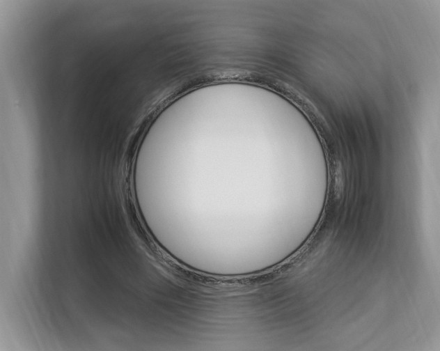 X0000112950490200908241030