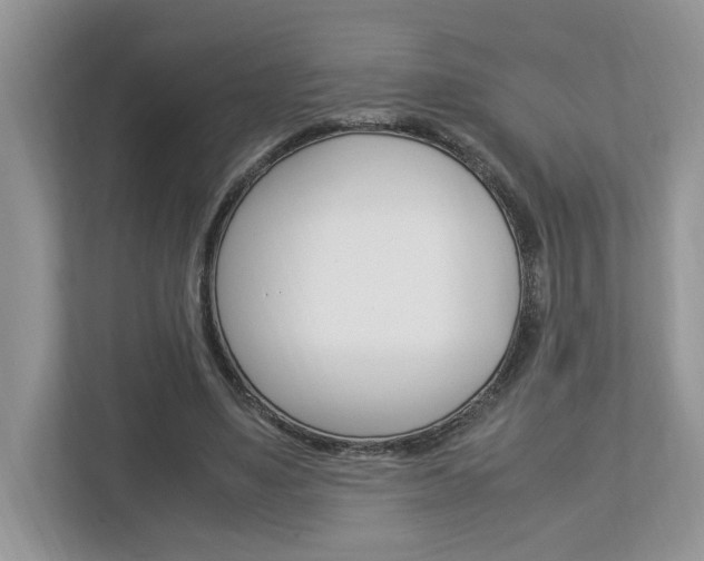 X0000112950491200908241030