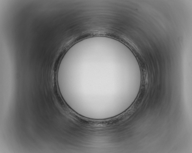 X0000112950494200908241030