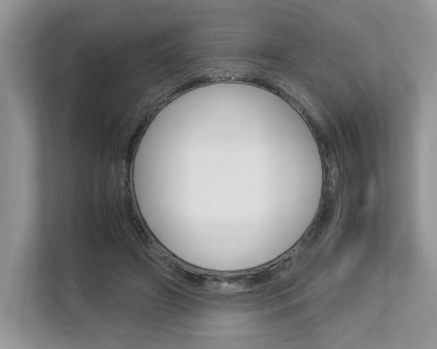 X0000112950498200908241030