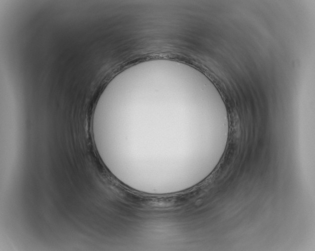 X0000112950502200908241030