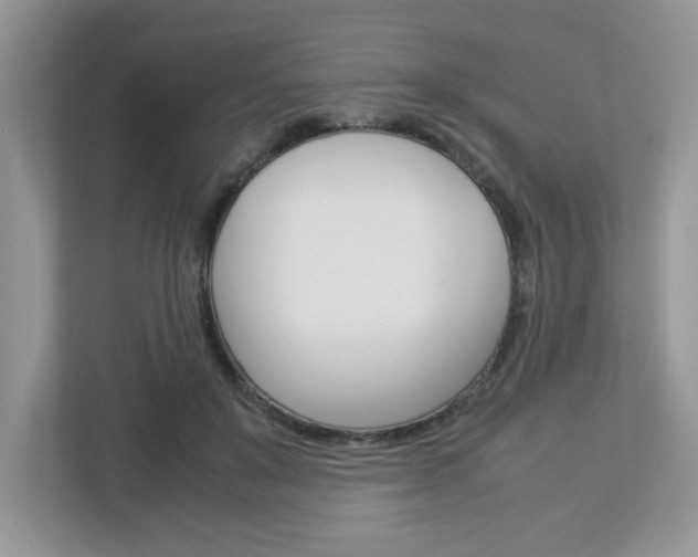 X0000112950503200908241030