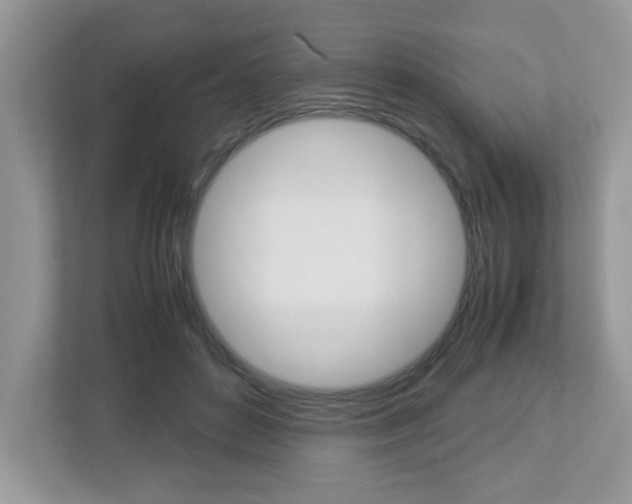 X0000112950504200908241030