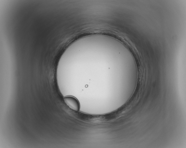 X0000112950505200908241030