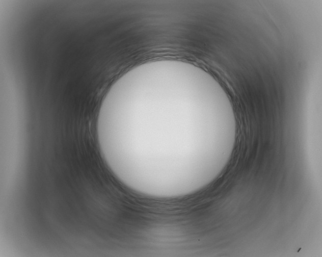 X0000112950512200908241030