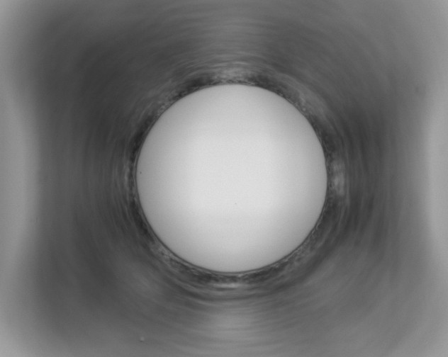 X0000112950514200908241030