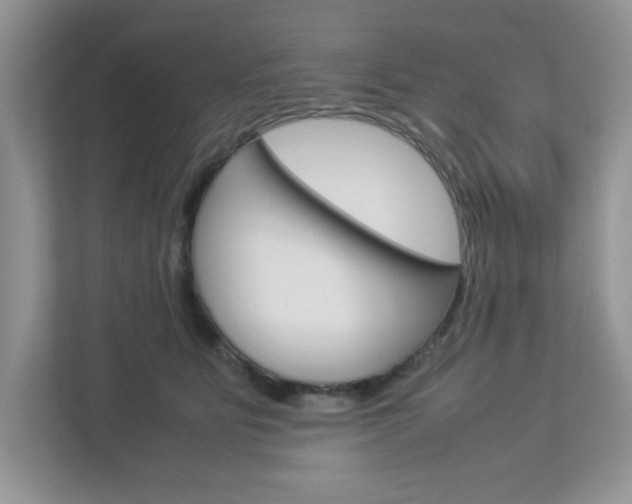 X0000112950515200908241030
