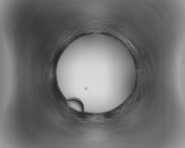 X0000112950517200908241030