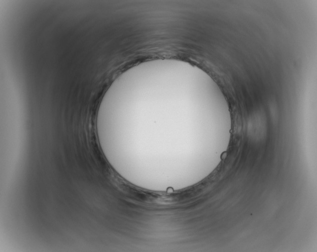 X0000112950518200908241030