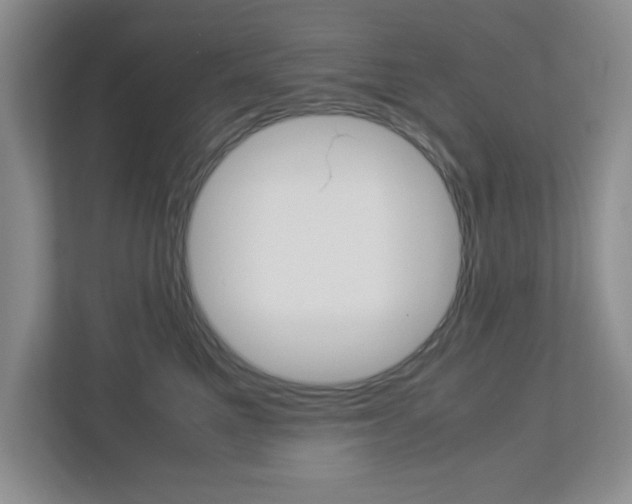 X0000112950521200908241030