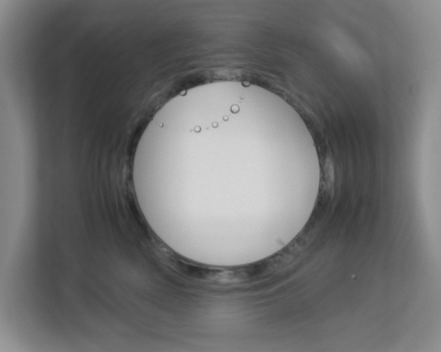 X0000112950522200908241029