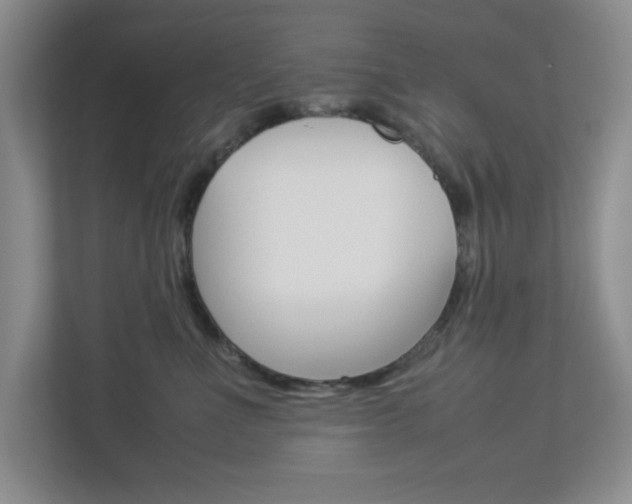 X0000112950523200908241029