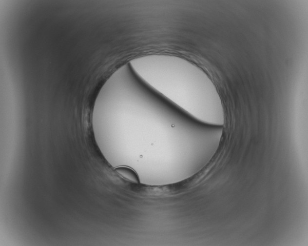 X0000112950525200908241029