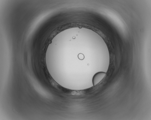 X0000112950526200908241029