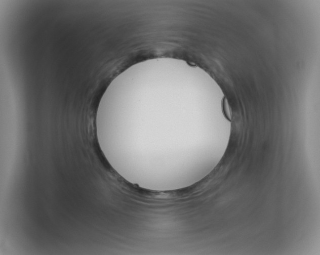 X0000112950527200908241029