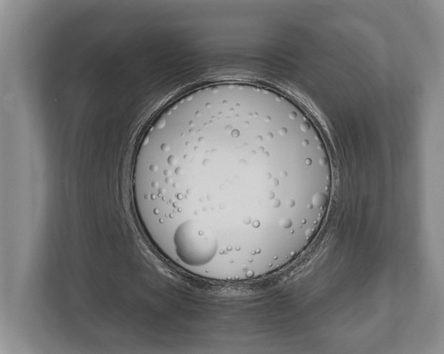 X0000112950529200908241029