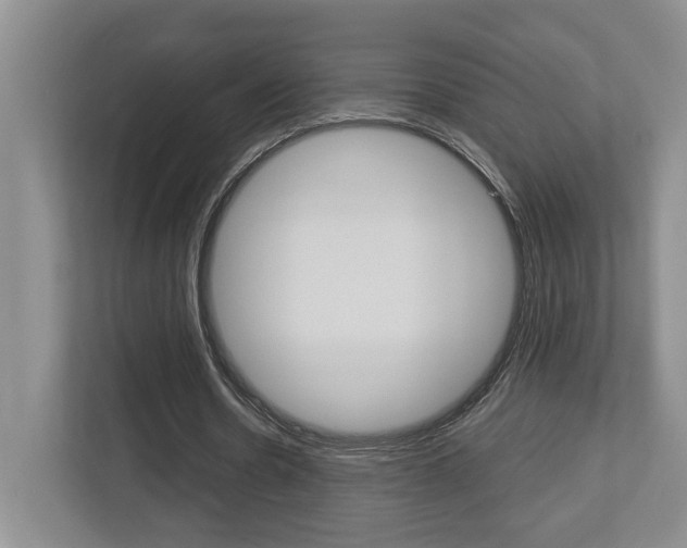 X0000112950530200908241029