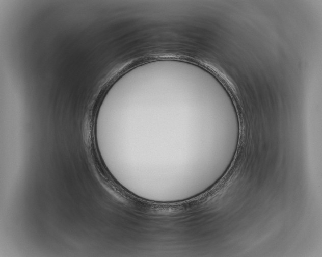 X0000112950533200908241029