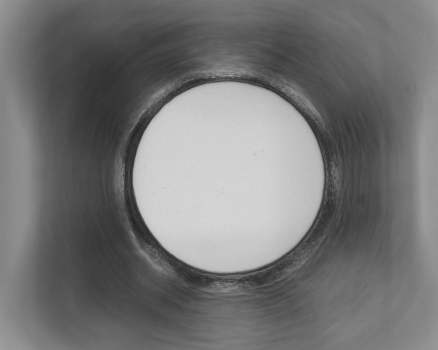 X0000112950534200908241029