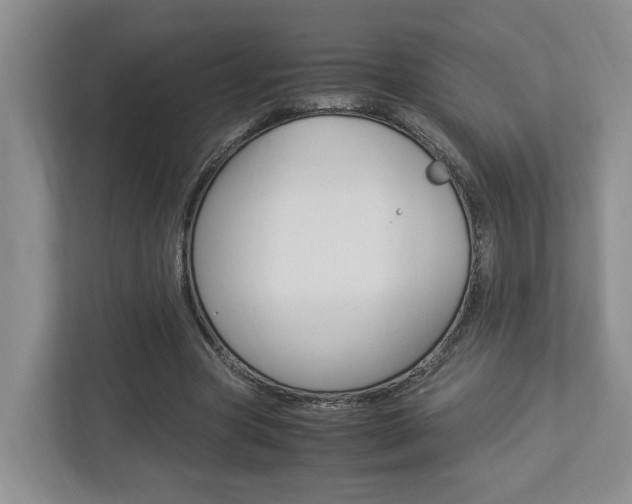 X0000112950537200908241029