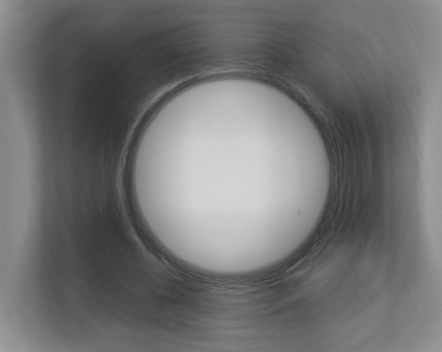 X0000112950540200908241029